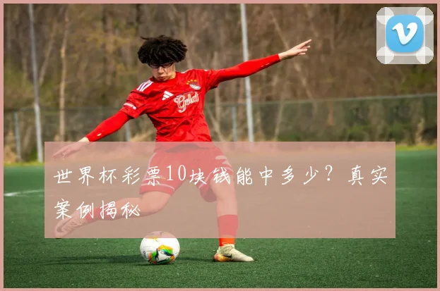 世界杯彩票10块钱能中多少？真实案例揭秘