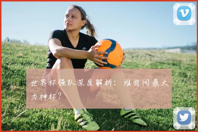 世界杯强队深度解析：谁将问鼎大力神杯？