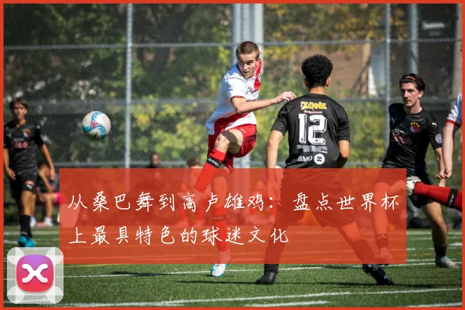 从桑巴舞到高卢雄鸡：盘点世界杯上最具特色的球迷文化