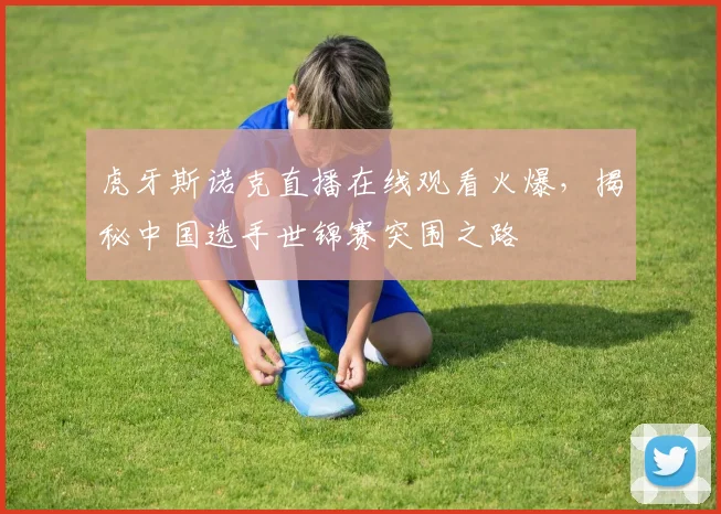 虎牙斯诺克直播在线观看火爆，揭秘中国选手世锦赛突围之路